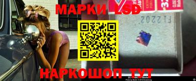 индика Камышлов