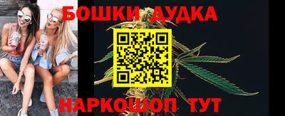 индика Камышлов