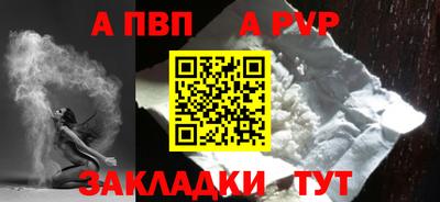 индика Камышлов