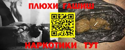 индика Камышлов