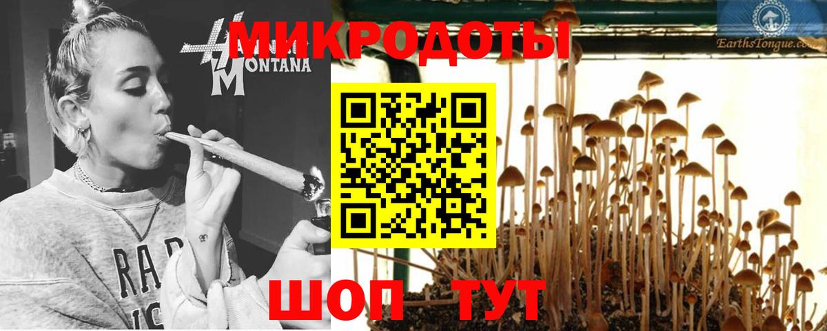 Галлюциногенные грибы ЛСД Коркино